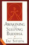 Awakening The Sleeping Buddha