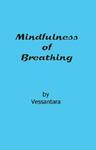 The Art Of Meditation: The Breath