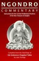 Ngondro Commentary: Instructions For The Concise Preliminary Practices Of The New Treasure Of Dudjom