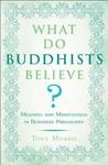 What Do Buddhists Believe?: Meaning And Mindfulness In Buddhist Philosophy