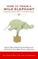 How To Train A Wild Elephant: And Other Adventures In Mindfulness