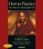 How To Practice 5cd's (unabridged) The Ways To A Meaningful Life