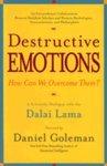 Destructive Emotions: A Scientific Dialogue With The Dalai Lama