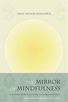 The Mirror Of Mindfulness, Updated Edition: The Cycle Of The Four Bardos