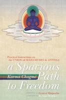 A Spacious Path To Freedom: Practical Instructions On The Union Of Mahamudra And Atiyoga