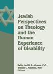 Jewish Perspectives On Theology And The Human Experience Of Disability