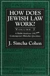 How Does Jewish Law Work?: A Rabbi Analyzes 119 More Contemporary Halachic Questions