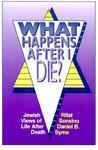 What Happens After I Die?: Jewish Views Of Life After Death