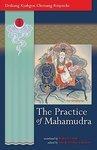 The Practice Of Mahamudra: The Teachings Of His Holiness, The Drikung Kyabgon, Chetsang Rinpoche