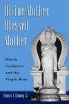 Divine Mother, Blessed Mother: Hindu Goddesses And The Virgin Mary