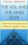 The Veil And The Male Elite: A Feminist Interpretation Of Women's Rights In Islam