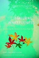 Natural Wakefulness: Discovering The Wisdom We Were Born With