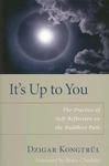 It's Up To You: The Practice Of Self-Reflection On The Buddhist Path